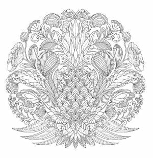 Раскраски Антистресс, Раскраска Муха раскраски антистресс