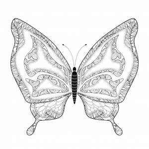 Редкая бабочка