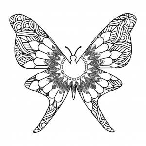 Красивая бабочка