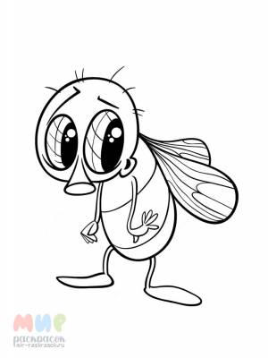 Раскраска Муха цокотуха же