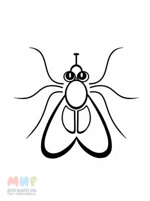 Раскраска Муха цокотуха же