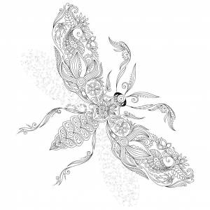 Раскраски антистресс, Раскраска Муха раскраски антистресс