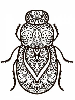 Раскраска Насекомые Антистресс  картинку онлайн