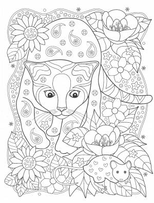 Кошка и мышка