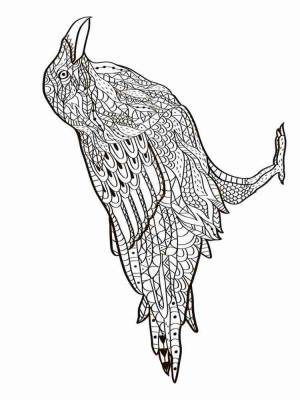 Раскраски Ворона Антистресс