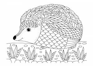 раскраски Антистресс Животные