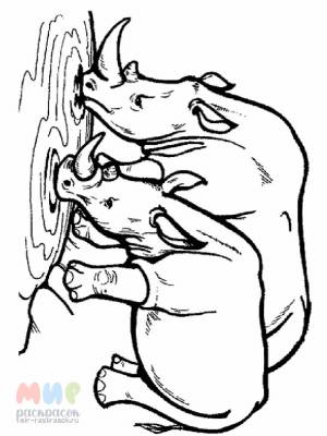 Раскраска Носорог почесал рогом бок