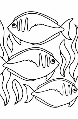 Рыбка-носорог