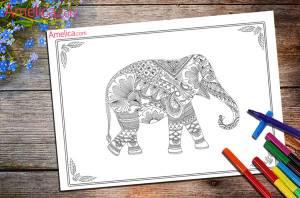 раскраски арт-терапия   для взрослыхAmelica