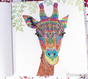 Отзыв о Книга-раскраска для взрослых The Menagerie