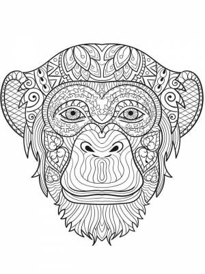 Картинка Обезьяна Антистресс  в формате