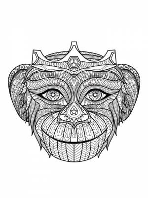 Раскраска Обезьяна Антистресс картинка  для детей