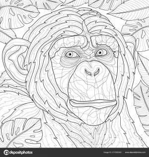 Тропические Листья Шимпанзе Animal Coloring Книги Антистресс Детей Взрослых Стиль Векторное изображение ©vlasenko