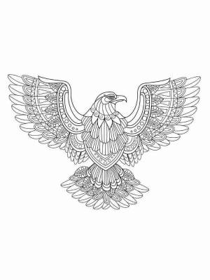 Раскраски Орел Антистресс