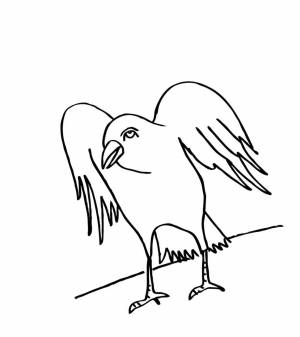 Раскраска Ворона