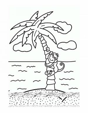 Раскраски Пальма