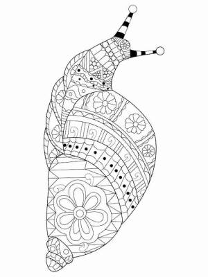 Раскраски Улитка Антистресс