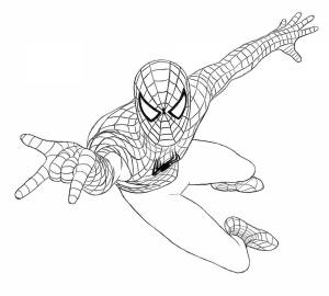 Раскраски Spider man