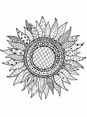 Раскраски Подсолнух Антистресс