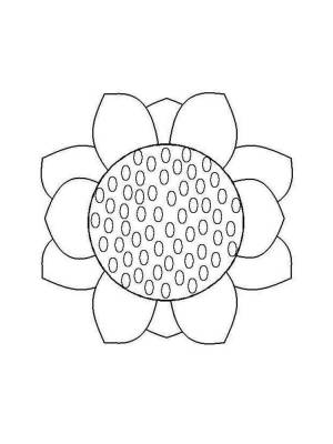 Раскраски Подсолнух