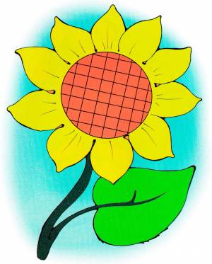 Раскраска Красивый подсолнух