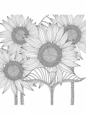Раскраска Подсолнух Антистресс  в формате  онлайн