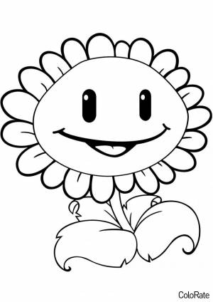 Раскраска Подсолнух