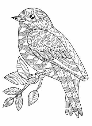 Раскраска-антистресс Животные