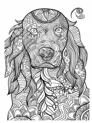 Раскраска Животные Антистресс