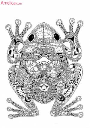 раскраски арт-терапия   для взрослых