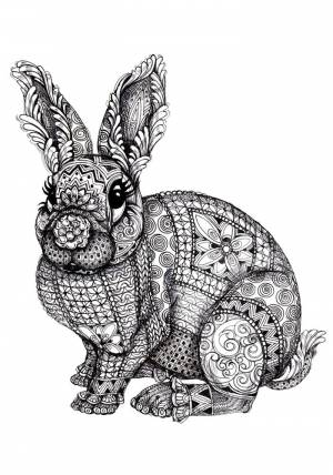 Раскраски животные, Раскраска Арт терапия антистресс животные Дикие животные