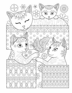 Котята в коробках