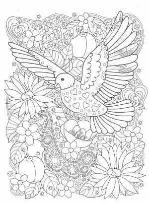 Раскраски «Птицы»