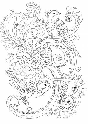 Раскраски Раскраска Птица на ветке раскраски антистресс, Download print coloring page