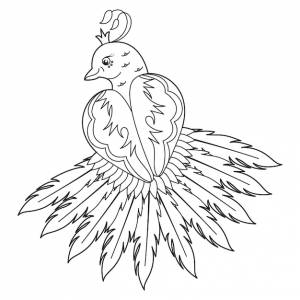 Павлин птица раскраска антистресс для взрослых каракули для раскраски