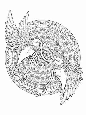 Раскраски Птицы Антистресс
