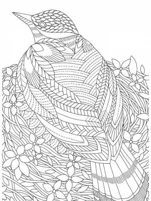 Раскраска Птицы Антистресс черно белая онлайн