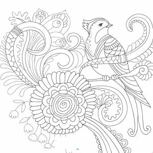 Раскраски Раскраска Птица на ветке раскраски антистресс