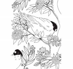 Раскраска-антистресс для творчества и вдохновения Райские птицы КН-978-5-699-83679-6