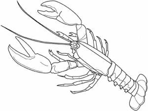 Раскраски Рак