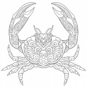 Картинка раскраска рак