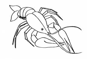 Раскраска Рак