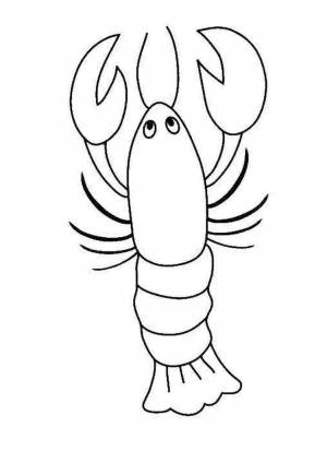 Раскраска рак