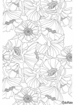 Раскраска Антистресс цветы