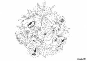 Раскраска Природный узор антистресс