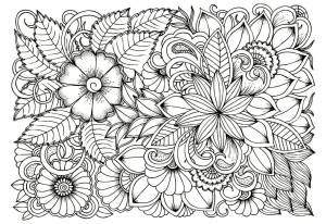 Раскраска антистресс цветы