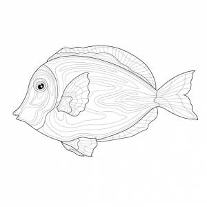 Морские рыбки