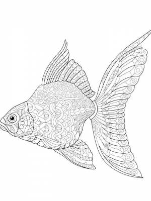 Раскраски Рыбы Антистресс   в формате