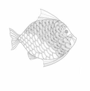 Рыба с узором