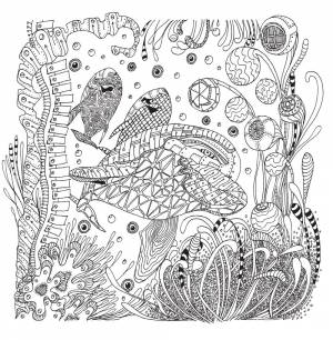 Раскраски рыбы, Раскраска рыбы и море